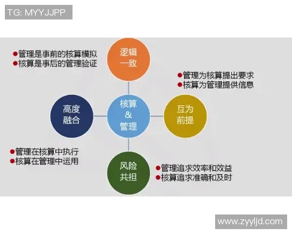 AL与CFO的职责分工与协作模式探讨：提升企业财务管理效率的关键因素