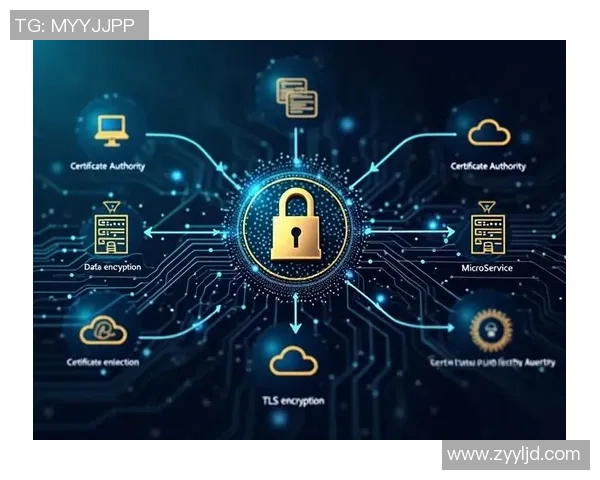 基于ElkADC架构的高效数据处理与安全加密技术研究与应用 基于ElkADC架构的高效数据处理与安全加密技术研究与应用