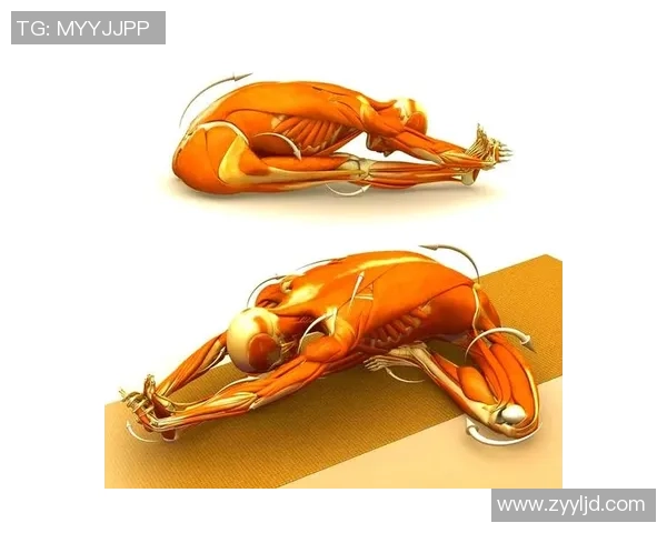 科学健身计划:从基础到进阶全方位指导打造理想体型 科学健身计划:从基础到进阶全方位指导打造理想体型